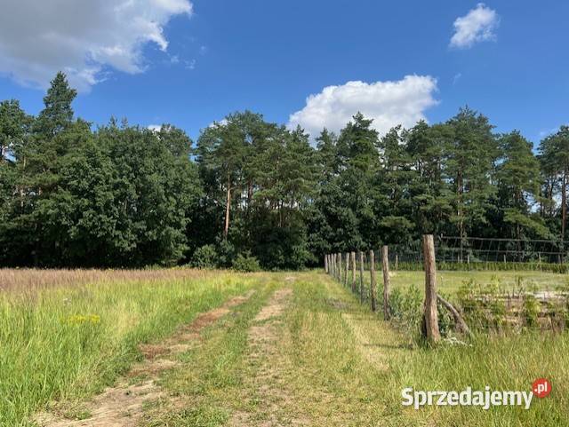 Działki budowlane Podańsko Goleniów Szczecin sprzedam