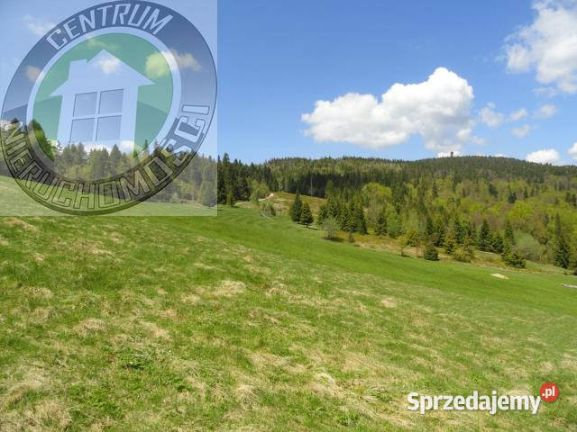 Działka 8400m2 Ochotnica Dolna sprzedam
