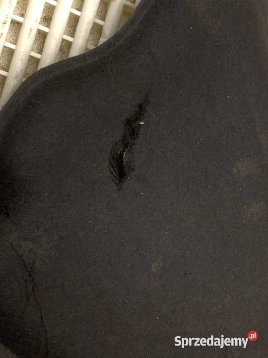 WYGŁUSZENIE MASKI RENAULT CAPTUR I Crossover