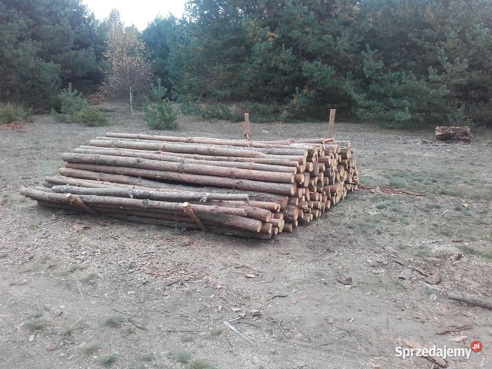 Kołki okrąglaki drewniane słupki słupy paliki Kielce