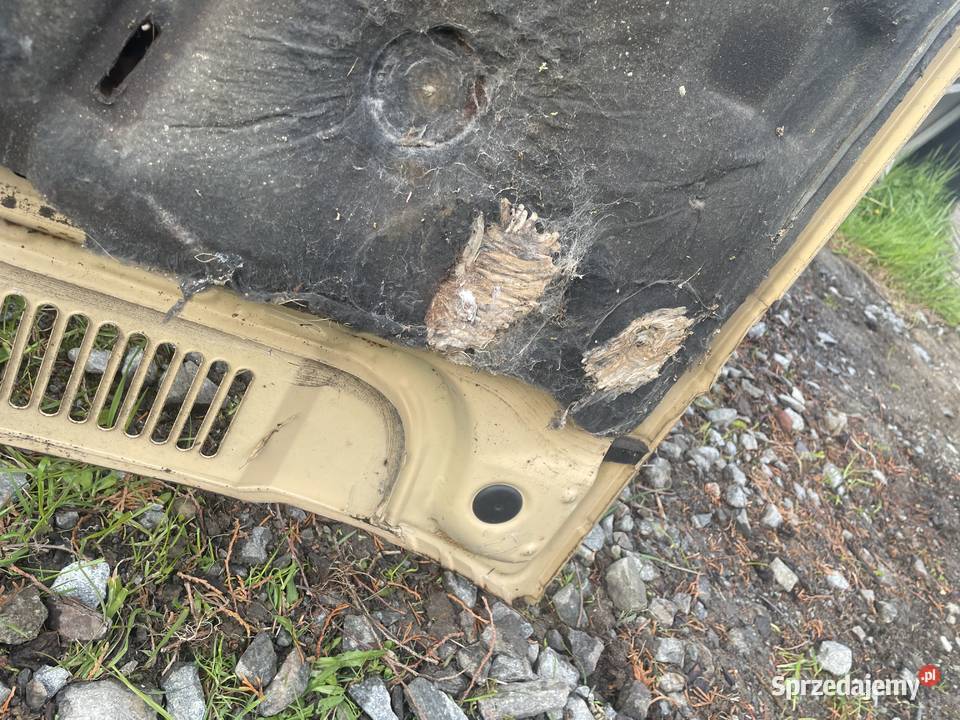 Maska VW GOLF MK1 bez korozji Fajny stan Darłowo sprzedam