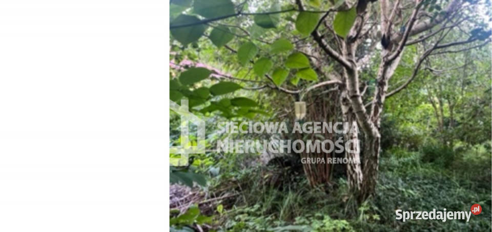 Działka Grabowo Kościerskie 993m2