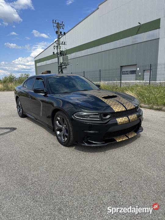 Dodge Charger RT Charger Łapy