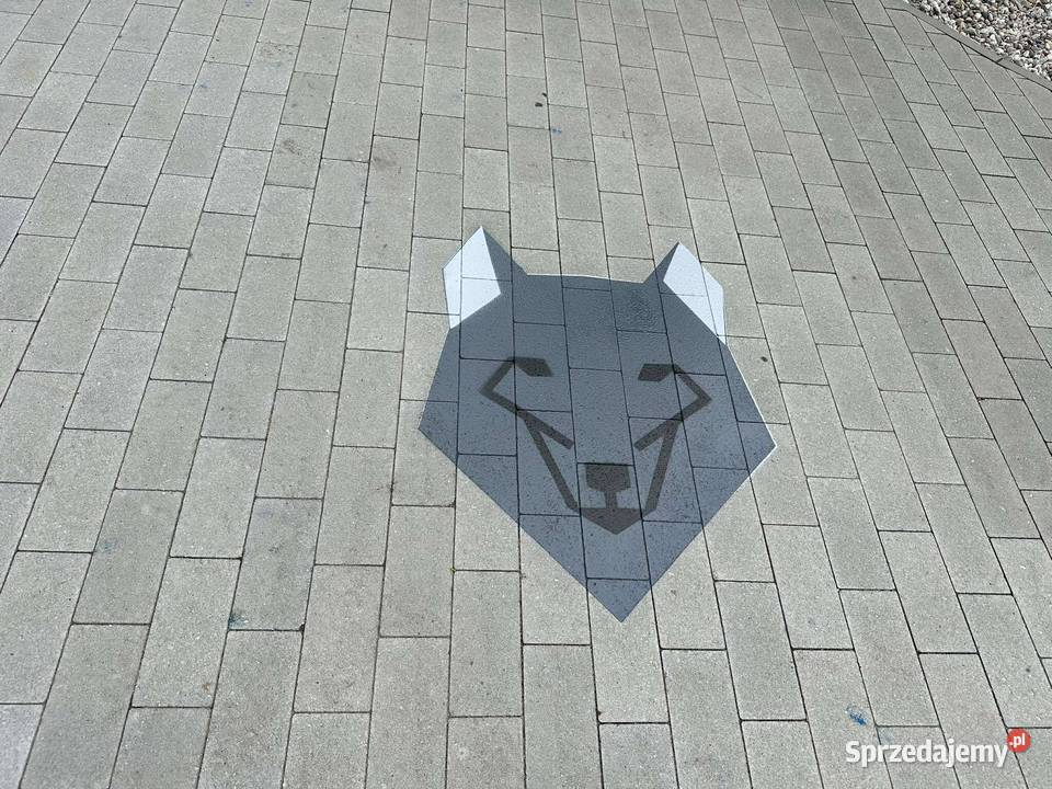 Wilk patrzy 01 gry podwórkowe Strefy Gier Poznań