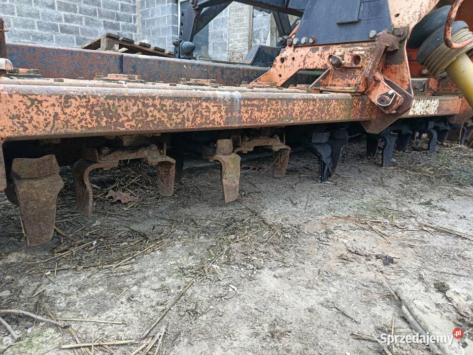 Brona aktywna maschio 3m śląskie Leśniaki