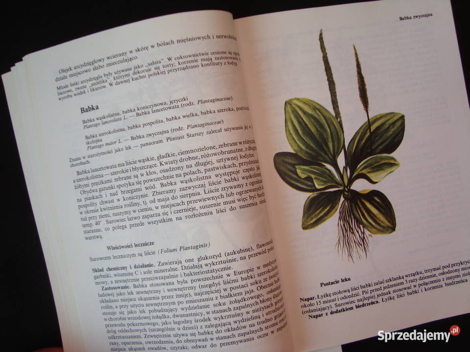 Właściwości lecznicze ziół naturalnych z Zdrowie Tychy sprzedam