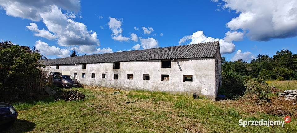 Działka rolnobudowlana 48 arów Barnówko sprzedam