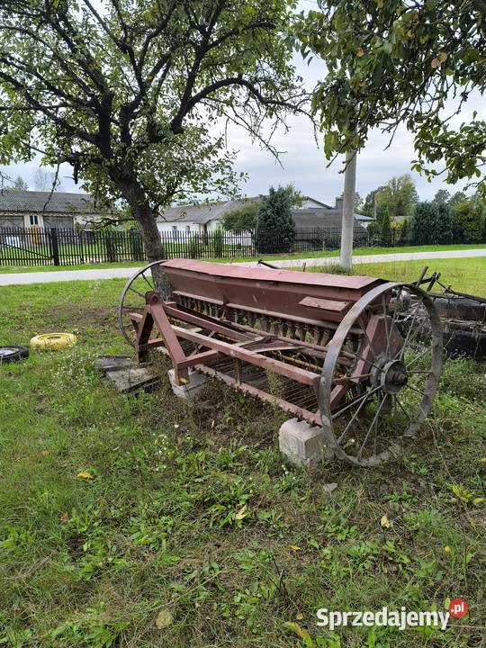 Sprzedam siewnik Zgórze sprzedam