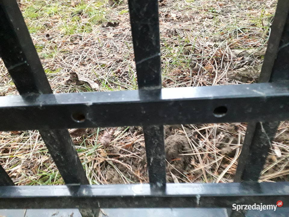 Brama dwuskrzydłowe Polargos 4 m x 16 furtka skrzydłowa Przemyśl