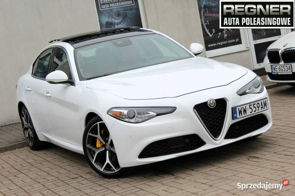 Alfa Romeo Giulia 20 Turbo Kamera Cofania mazowieckie
