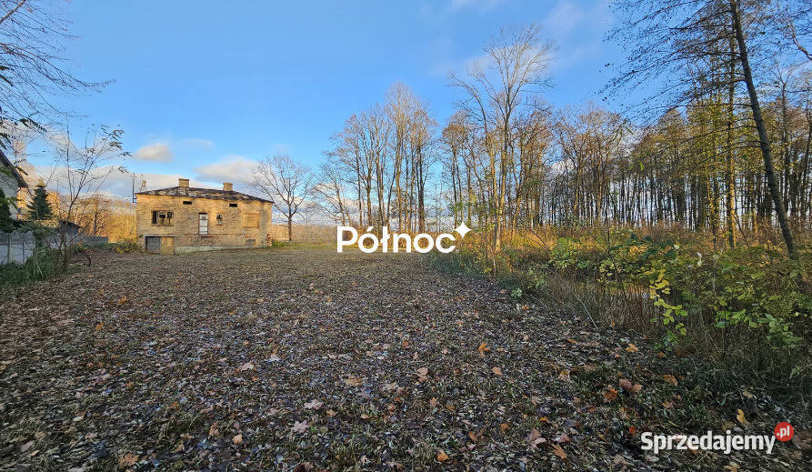 Działka rolnobudowlana z potencjałem w Rok budowy 1975 Sprzedaż Chotyłów