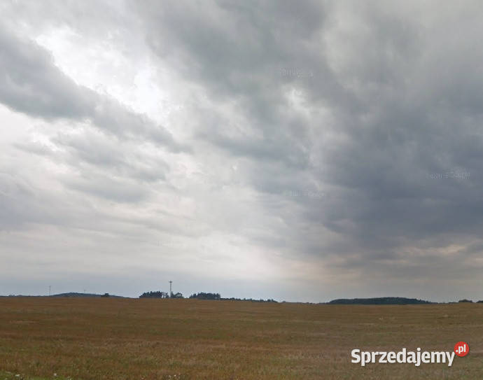 Borkowo Malechowo 155 ha 15500m2 Sprzedaż sprzedam