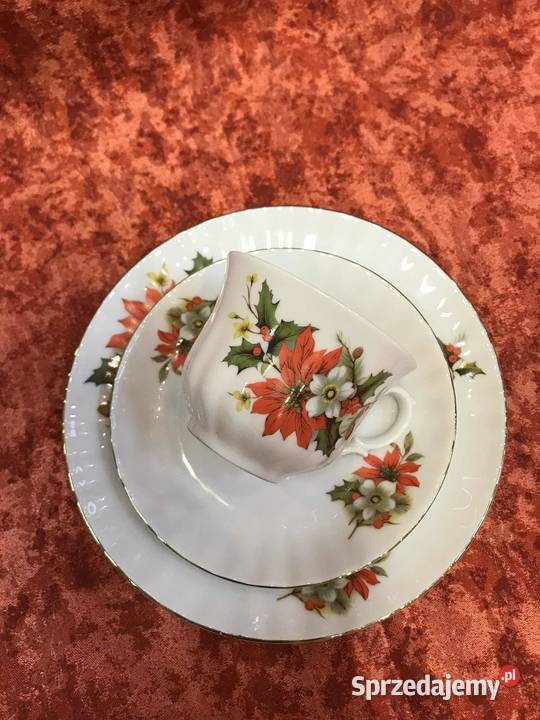 Filizanka Retsch Wunsiedel poinsecja Kielce