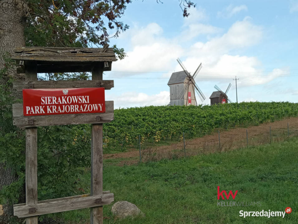 sprzedaży gruntu 980m2 Prusim