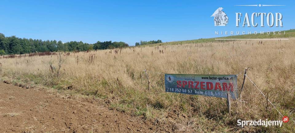 Siary działka budowlana 13 a 1158S2025 Sprzedaż