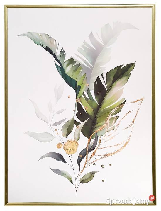 Plakat rośliny liście palmy botaniczny 50x70 Kraków sprzedam