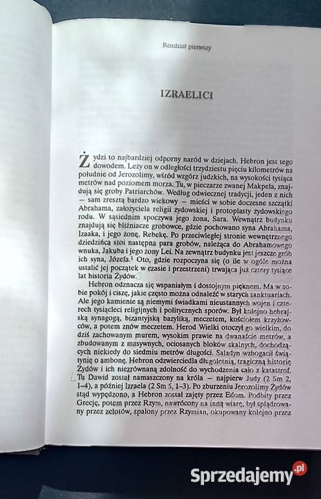 Paul Johnson Historia Żydów Wyd Platan 1996 r Antykwariat Koźminek
