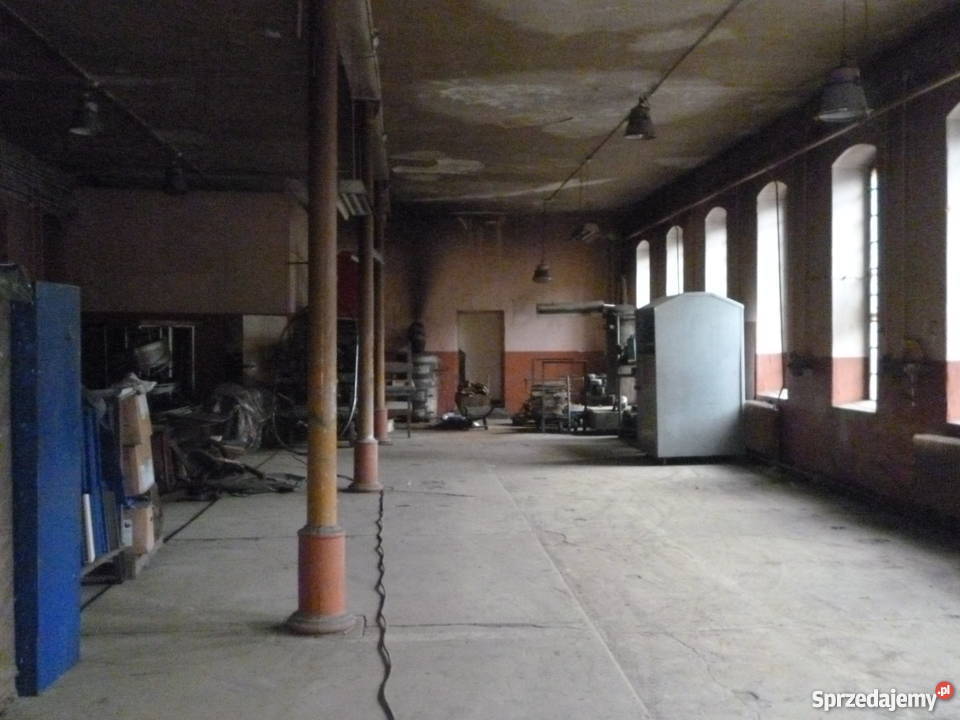 Zakład hale produkcyjnemagazynowe Ilość pomieszczeń 3 Szczytna sprzedam