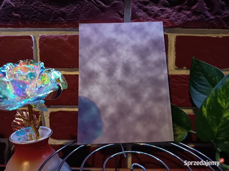 marek k jeleniewski bydgoskie obrazki Bydgoszcz