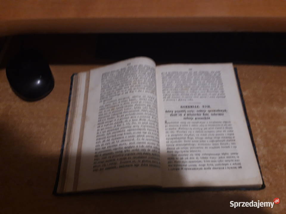 PRZEWODNIK GRZESZNIKÓW ŚwLudwika z Grenady Iwno sprzedam