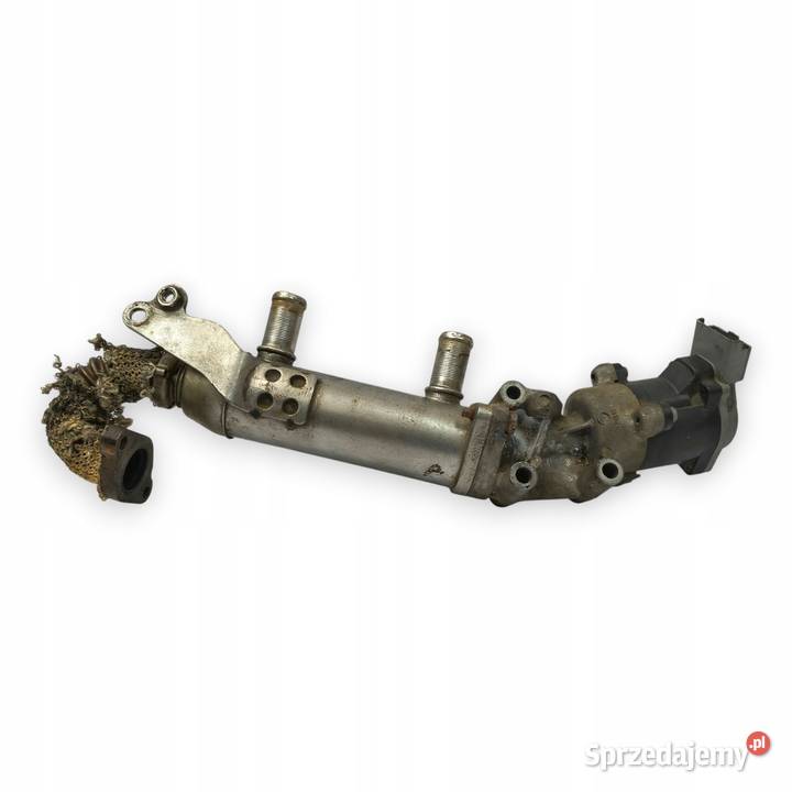 ZAWÓR EGR CHŁODNICA Peugeot Citroen Jaguar 27 Chełm