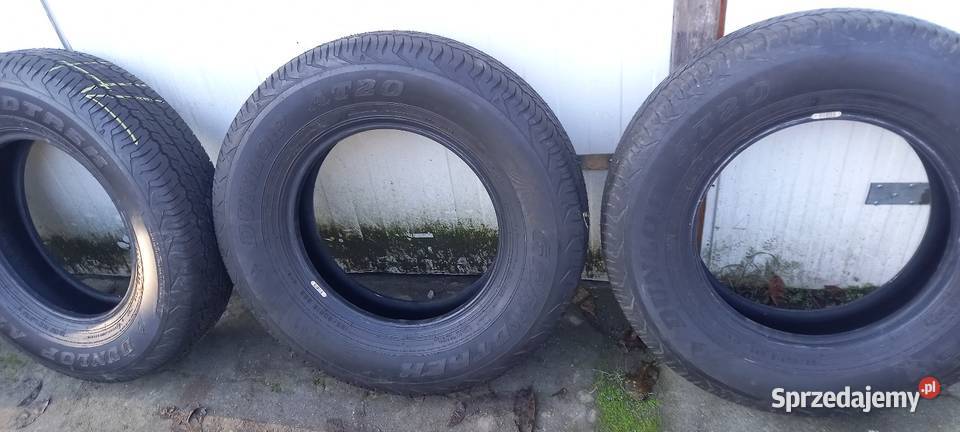 1958015 5 wielosezon Bydgoszcz sprzedam