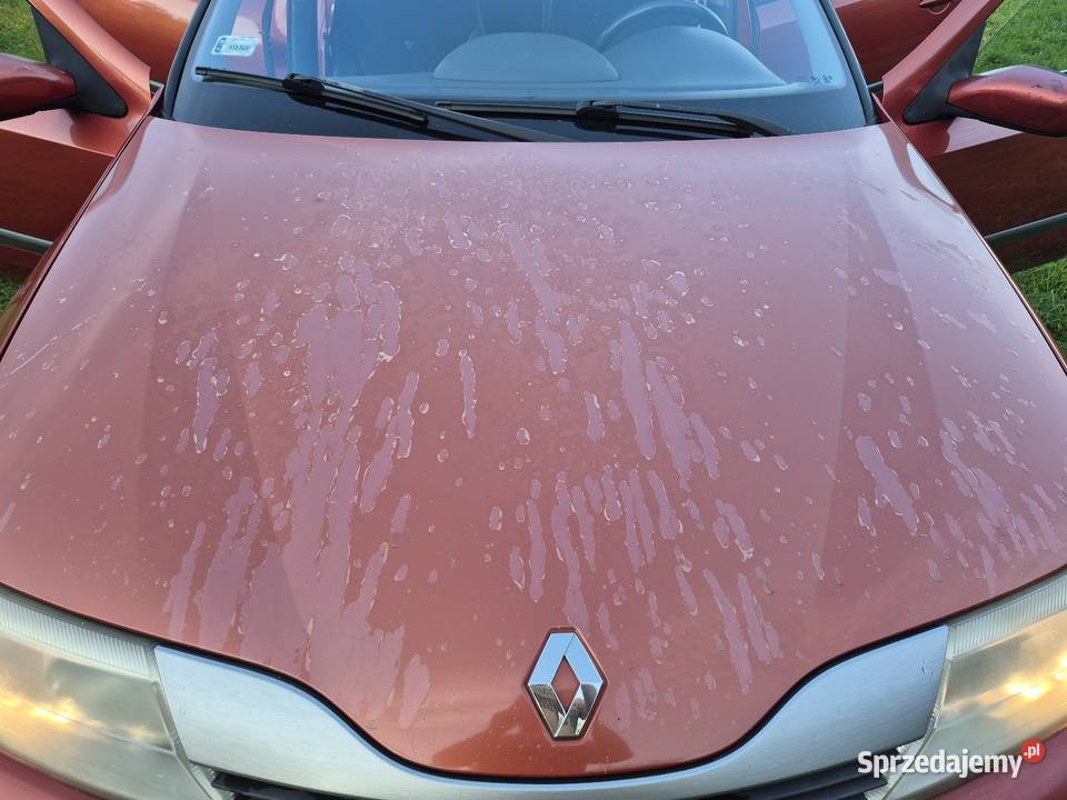 Renault Launa II Dąbrowica sprzedam