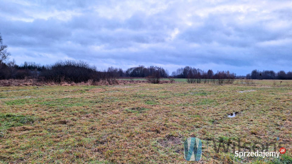 Do sprzedaży działka 3001m Topórek