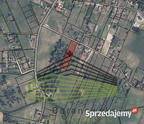 Działka budowlana w Łośnie 35m Łośno