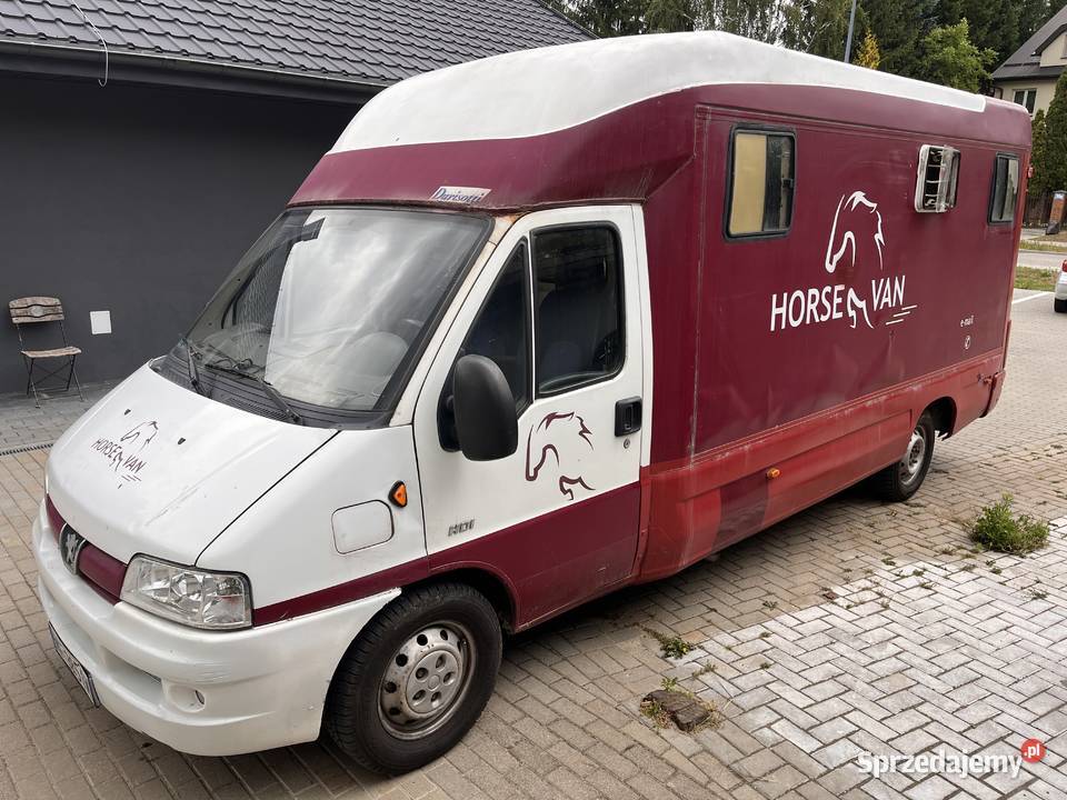 Koniowóz Peugeot Boxer Lublin sprzedam