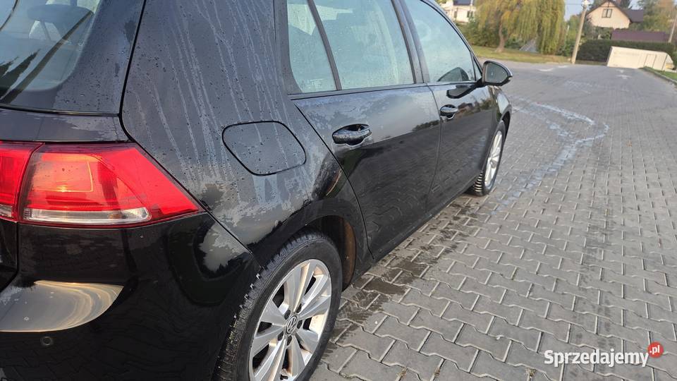 Volkswagen Golf 7 2015r BlueMotion Salon 1 małopolskie Kraków