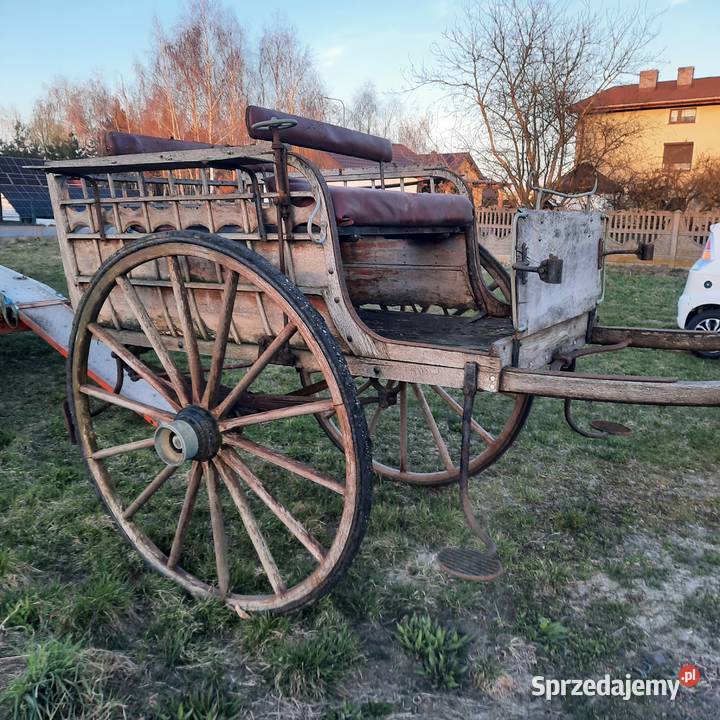 Bryczka konna Strzałkowo