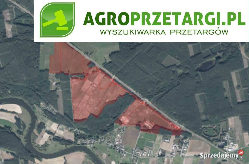 Dzierżawa 8493 ha gruntu rolnoleśnego Grunty i działki Szamotuły sprzedam