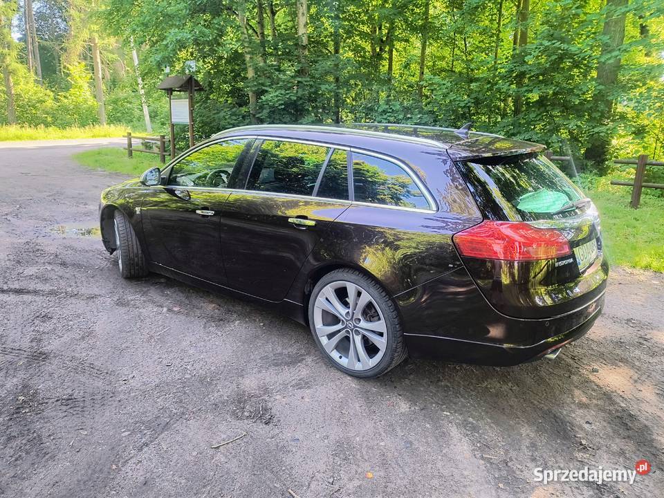Opel Insignia A 20 CDTI 4x4 Automat pomorskie Sobowidz