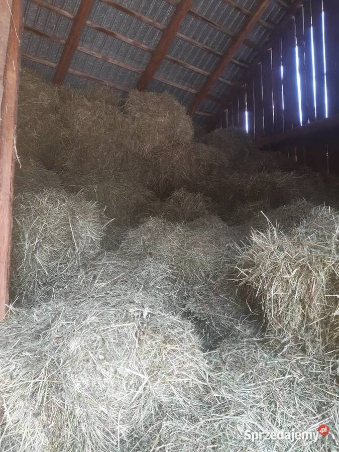 Siano kostka koni królików bydła Kończyce Małe