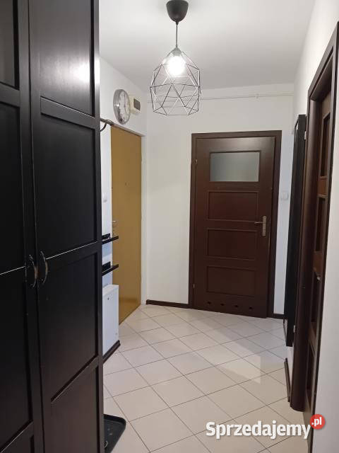 sprzedaży mieszkania Pruszków 439m2 2pok