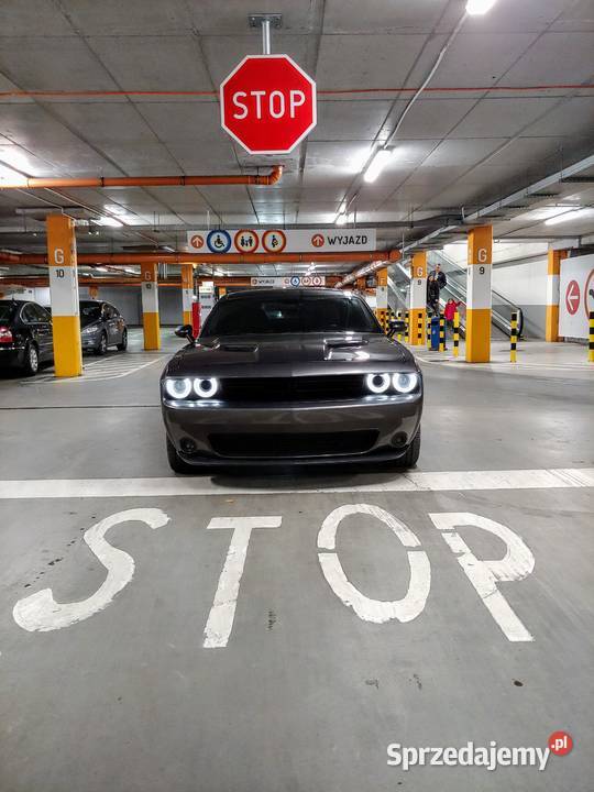 Dodge Challenger sprowadzony z Teksasu Toruń
