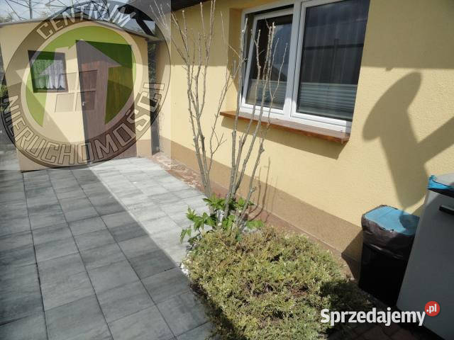 Do wynajęcia dom wolnostojący Chełmiec 64m2 blacha Wynajem