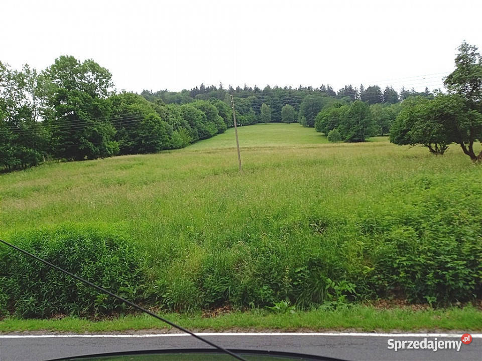 Dom wolnostojący Walim 200m2 Sprzedaż