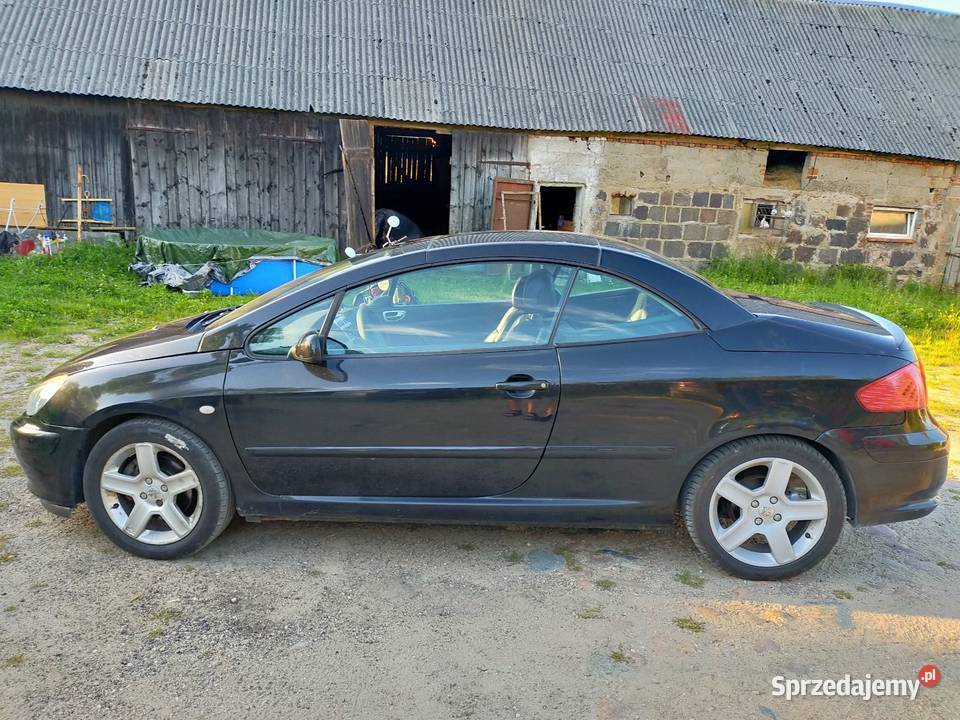 Peugeot 307 CC kabriolet 20 benzyna Roztoka