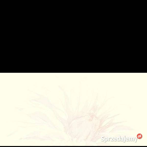Dekor Apasionate bianco A 30 x 60 Paradyż zachodniopomorskie