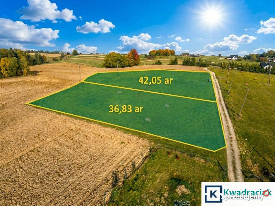 Do sprzedaży działka 3683m2 Trepcza podkarpackie