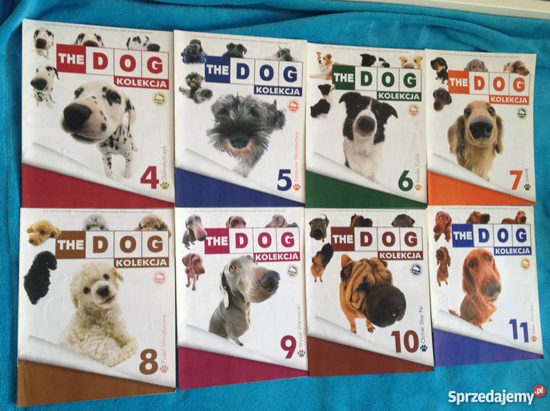Czasopisma The Dog Kolekcja Warszawa sprzedam