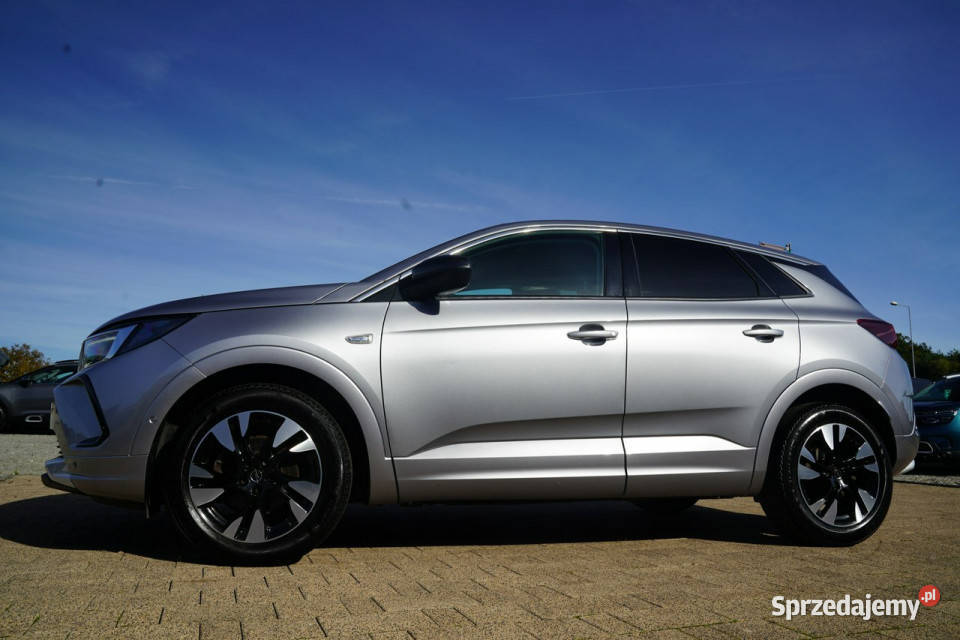 Opel Grandland X FUL LED skóra NAWI automat8