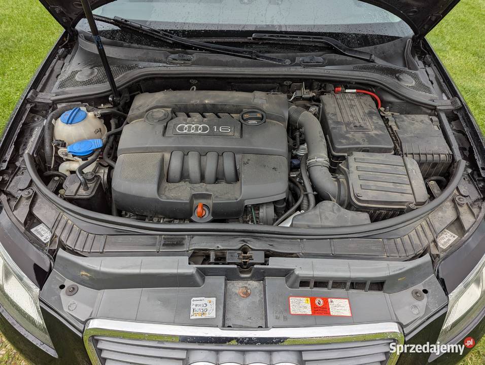 Audi A3 16 MPI LED LPG Lift Wiewiec