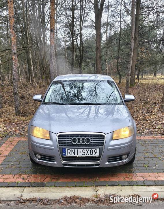 Audi A3 8P 16 102 Audi podkarpackie