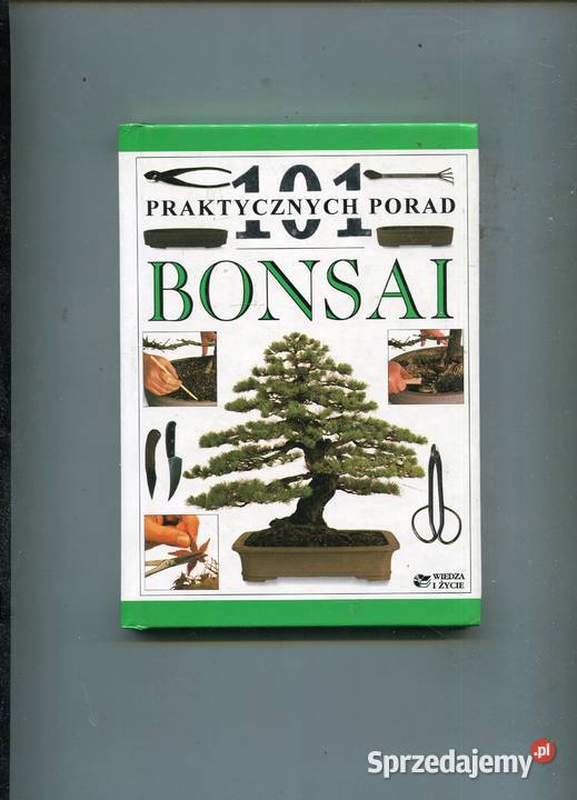 Bonsai 101 praktycznych porad