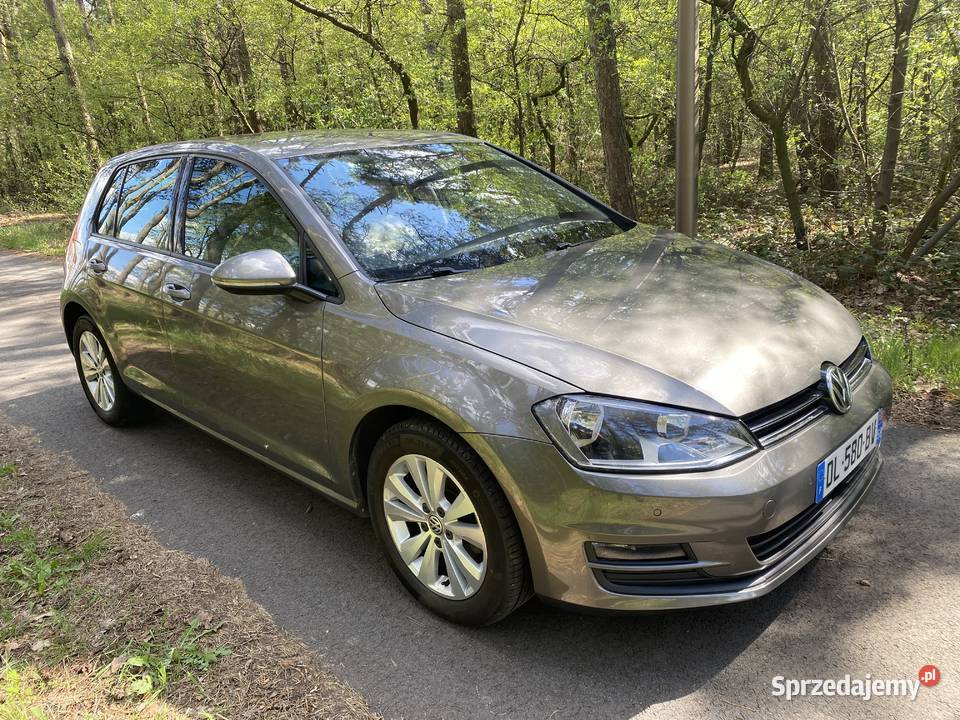 Volkswagen Golf VII 16 TDI 105 Navi Aktywny Rok produkcji 2014 Kępno