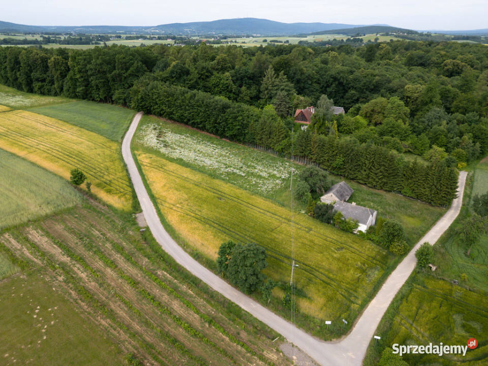 Ustawna działka z WZ 2500m2 Czajęcice Sprzedaż