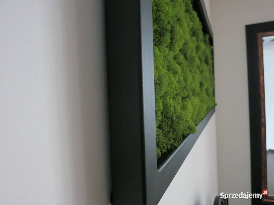 Ekoobraz stalowa rama mech chrobotek led Czernica